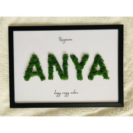Anya kép